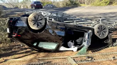 Направил авто в дерево: автопилот Tesla стал причиной серьезного ДТП (видео)