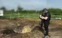 Russian drones attacked Chernihiv region: local resident was injured. PHOTOS