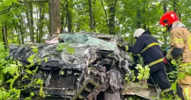 Смертельна ДТП на Вінниччині: водія затисло в салоні, авто розбито вщент