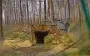 Drone operators of 53rd SMB strike enemy in forest dugout in Lyman direction. VIDEO