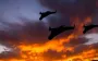 Fragments of enemy UAV recorded falling in Kyiv’s Holosiivskyi district; vehicles and building damaged