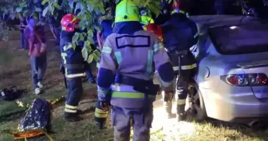 На Дніпропетровщині Mazda врізалась у дерево: шестеро постраждалих, серед них – дитина