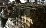 ЄС має план Б забезпечення Києва зброєю - ЗМІ