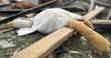 Трагедія на Житомирщині: серед жертв російської атаки – троє дітей