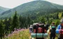 Їдете у Карпати вперше? Ось що обов’язково потрібно знати туристам