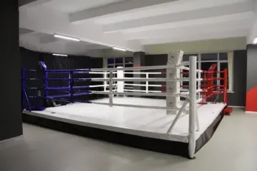 Депутати після запеклих суперечок викликали один одного на реальний бій