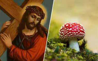 Иисус - не человек? Эта теория ученого может полностью перевернуть ваш мир