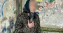 На Тернопільщині 52-річна жінка може сісти на 8 років за ґрати за крадіжку смартфона