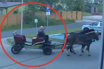 Пьяный мужчина приехал в полицию на лошади, потому что ему запретили водить авто