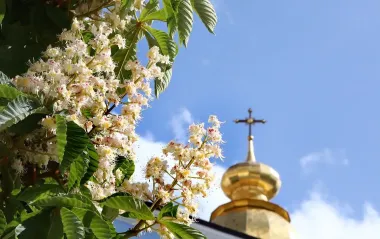 Вознесіння Господнє 2025: найтепліші привітання для близьких у віршах, прозі та листівках