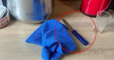 Инцидент на Закарпатье: отец набросился с ножом на сына