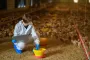 Отмена "торгового безвиза" с ЕС: эксперты предупредили о проблемах в птицеводстве