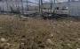 Occupiers strike a farm in Mykolaiv region, one person killed. PHOTO