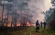 На Харківщині локалізували масштабну лісову пожежу