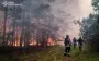 На Харьковщине локализовали масштабный лесной пожар