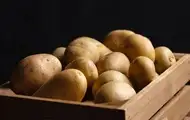 Росія через дефіцит вперше почала купувати картоплю в Монголії