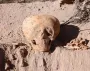 Рабочие в Аргентине нашли останки "человека-муравья": его череп имеет необычную форму