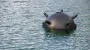Канада выразила готовность помочь Украине с разминированием Черного моря
