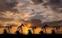 Цены на нефть снижаются на фоне ожиданий увеличения добычи