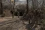 "Стали немного честнее": Германия признала невозможность капитуляции РФ в Украине