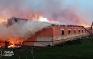 На Сумщині загинули сотні свійських тварин через російську атаку
