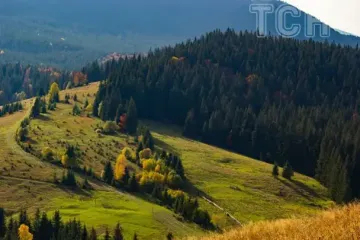 Турист травмувався та застряг у горах Польщі: як українська ДСНС врятувала чоловіка