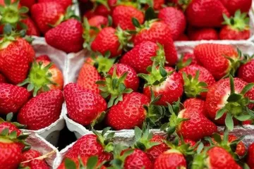 Як вибрати солодку полуницю: фермери відповіли на що дивитися при покупці