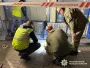 У Житомирі чоловік кинув гранату в натовп: є поранені (фото)
