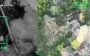 Border guards destroyed 2 pilot shelters, 4 dugouts, 2 artillery positions, 6 shelters and firing position of Russians. VIDEO