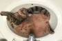 Тысячи жителей многоэтажек платят за воду больше: как и когда будут снижать цены