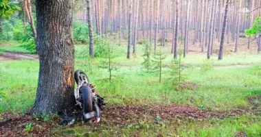 На Житомирщині мотоцикл влетів у кювет: водій загинув