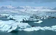 Ледники тают: ученые предупредили о необратимых потерях