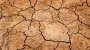 Losses of Kherson region farmers from drought exceed UAH 1 bln - Ukrainian Agri Council