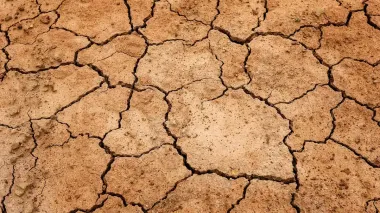 Losses of Kherson region farmers from drought exceed UAH 1 bln - Ukrainian Agri Council