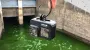 Мужчина бросил GoPro в море и снял нечто, что не может объяснить никто (видео)