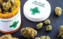 State Service of Ukraine on Medicines and Drugs Control officially authorized the import of medical cannabis into Ukraine for first time