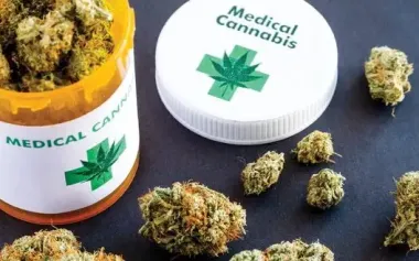 State Service of Ukraine on Medicines and Drugs Control officially authorized the import of medical cannabis into Ukraine for first time