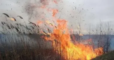 Синоптики попереджають про ризик пожеж: перелік областей