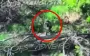Occupier shoots down Ukrainian drone with rifle butt and disappears in cloud of smoke and fire. VIDEO