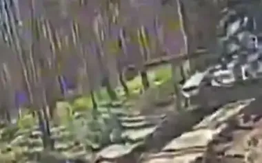 Ukrainian kamikaze drone zigzags through forest thickets towards Russian tank. VIDEO