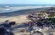 Мікропластик у їжі шкодить печінці та порушує метаболізм - дослідження