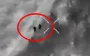 Kamikaze drone operator eliminated two occupiers who emerged from woods with single strike. VIDEO