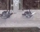 The Guardian view on Ukraine’s spectacular attack: 21st-century tactics still require support from allies | Editorial