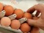 Ежедневный завтрак – теперь деликатес: цены на яйца развернутся вверх, когда делать запасы