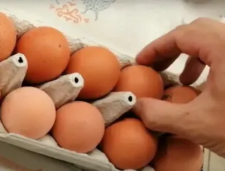 Ежедневный завтрак – теперь деликатес: цены на яйца развернутся вверх, когда делать запасы