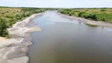 Подрыв Каховской ГЭС: вода стала ядом, рыбы – труппами, а дельфины – жертвами