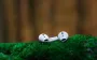 AirPods в iOS 26 отримають довгоочікувані функції: чим здивує Apple