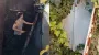 Потайная дверь в саду привела к тайне, которую скрывали десятилетиями (видео)