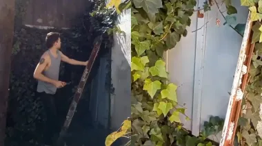 Потайная дверь в саду привела к тайне, которую скрывали десятилетиями (видео)