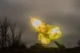The situation on the front has escalated — 110 battles since the beginning of the day